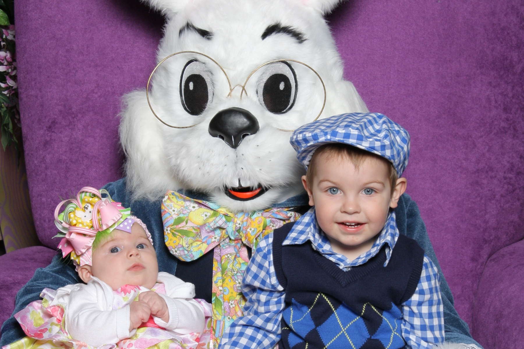 Seasonal photo operations